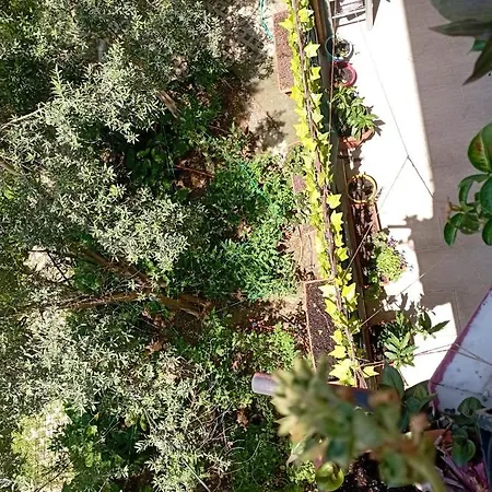 Live Assist Incekum Avsallar Family House Alanya