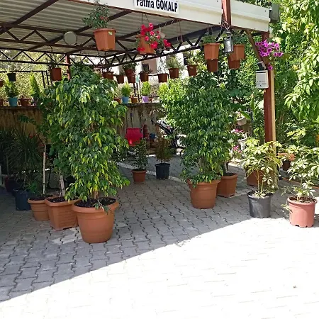 Live Assist Incekum Avsallar Family House Alanya